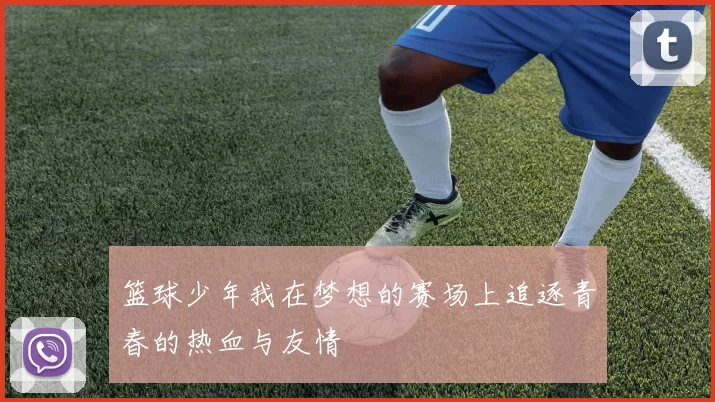 篮球少年我在梦想的赛场上追逐青春的热血与友情