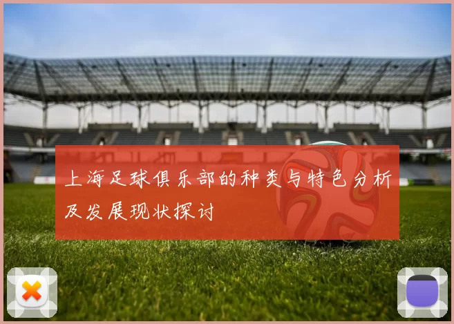上海足球俱乐部的种类与特色分析及发展现状探讨
