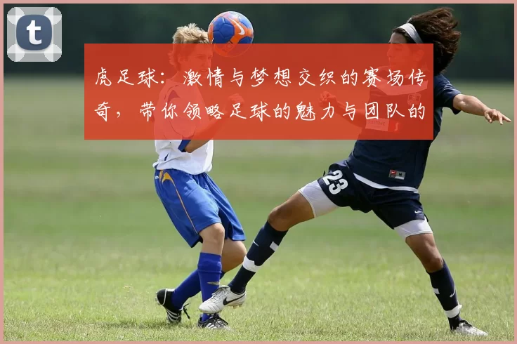 虎足球：激情与梦想交织的赛场传奇，带你领略足球的魅力与团队的力量